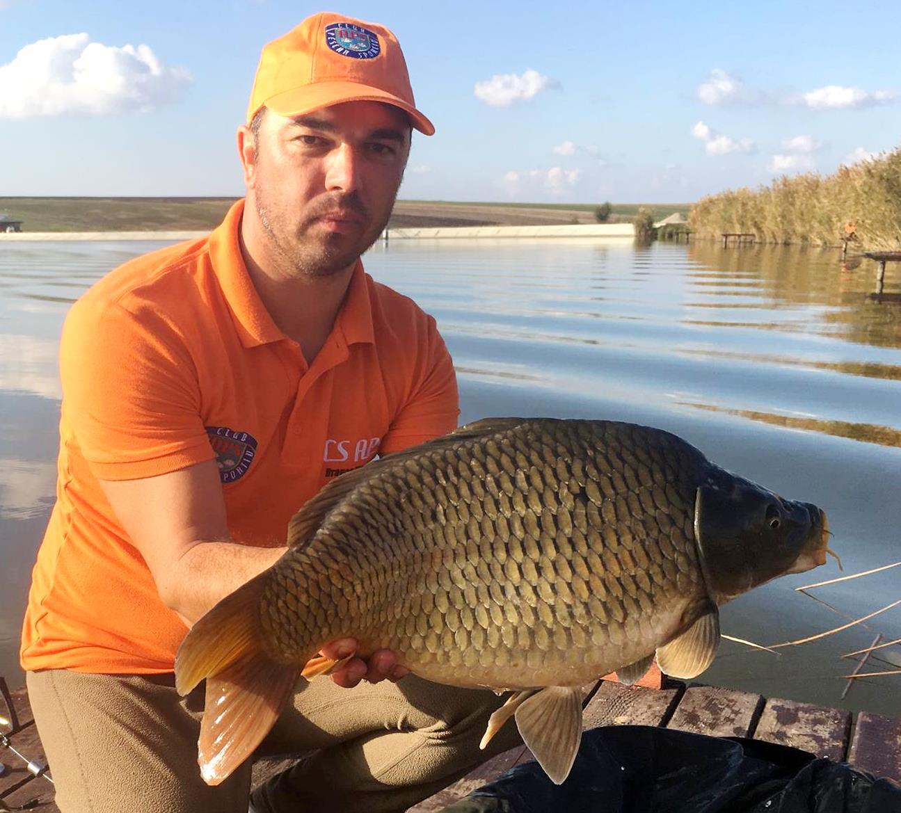 Bila 2 4 - 5 noiembrie 2017 - 6.jpg